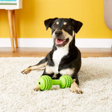 PETMATE JW Pet Company Chompion Juguete para Perro (los Colores varían), Heavyweight (5.00" x 3.25" x 5.00")