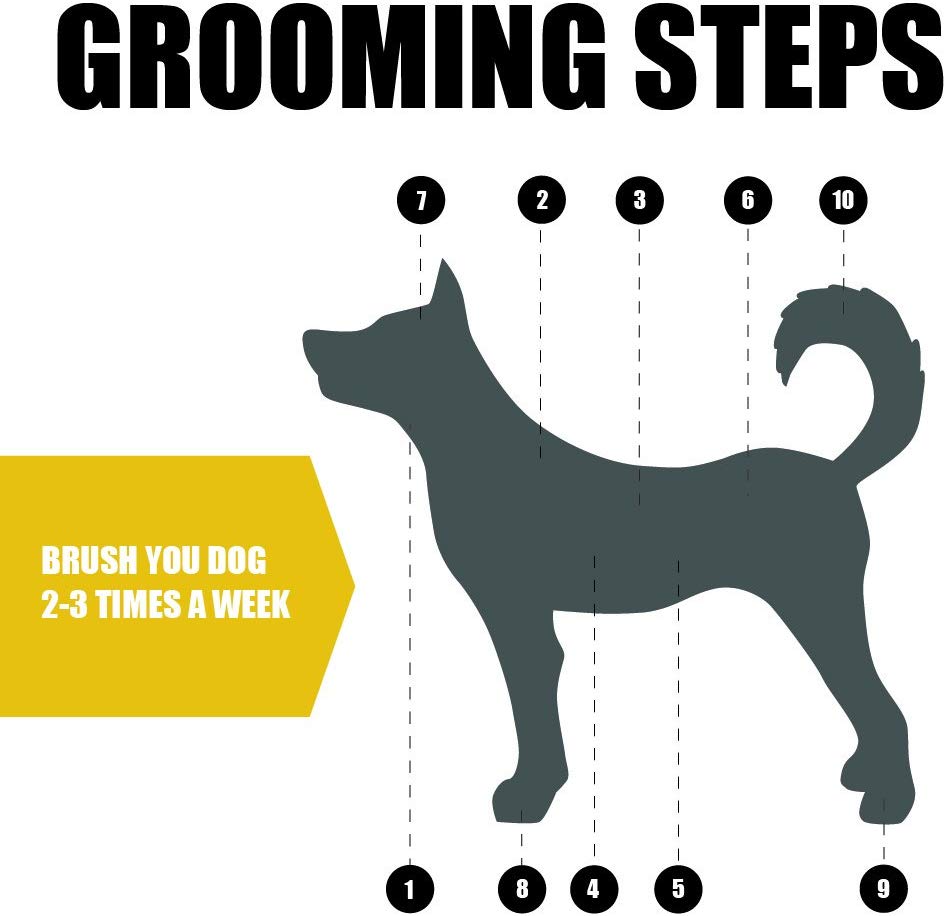 cepillo para polvo para mascotas BV, cepillo para polvo para perros y gatos, peine de aseo para mascotas, cerdas de 2 lados y alfiler para pelo largo y corto para perro, elimina el pelo que se desprende