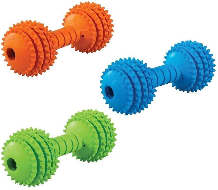 PETMATE JW Pet Company Chompion Juguete para Perro (los Colores varían), Heavyweight (5.00" x 3.25" x 5.00")