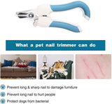 GranVic Cortauña con Lima para Perro Gato, Tijeras de Uñas Cortador de Acero Inoxidable, Recortadora de Uñas Profesional, Higiene Cuidado de las Uñas para Mascota, Perros Grandes, Pastor aleman, Alaska, Golden Retriever, Pitbull (Grande)