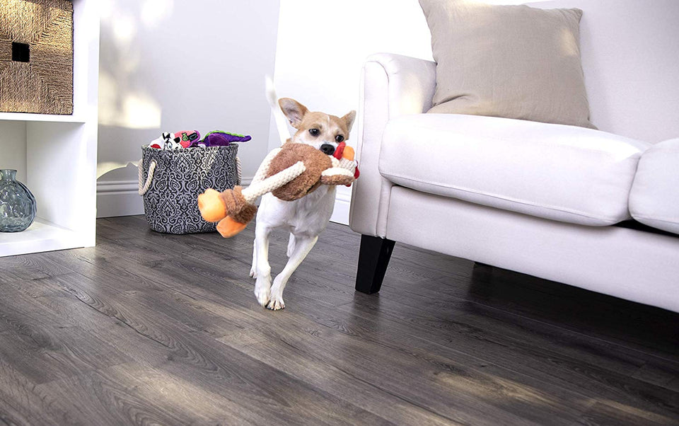 goDog Checkers Skinny Rooster With Chew Guard Technology Tough Plush Dog Toy, Brown, Small