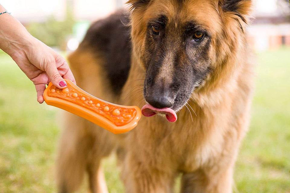 HARTZ Chew N' Clean Dental Duo Dog Chew Toy Bacon Flavor, Medium 1 EA, Marrón, Large